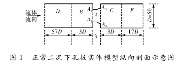 圖 1 正常工況下孔板實(shí)體模型縱向剖面示意圖