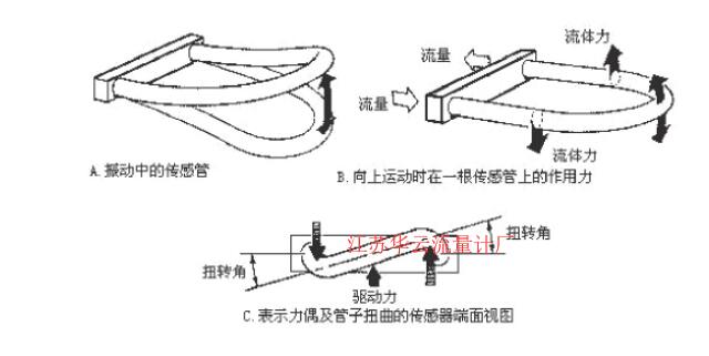 圖2 科氏質(zhì)量流量計測量管振動示意圖Fig.2 Schematic diagram of measuring tube vibration of coriolis mass flowmeter